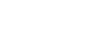 Practical Partners Logo